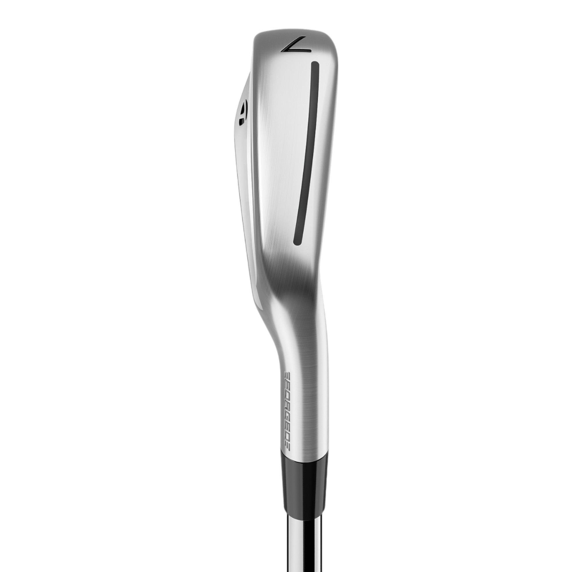 TaylorMade P790 Golf Irons | Steel