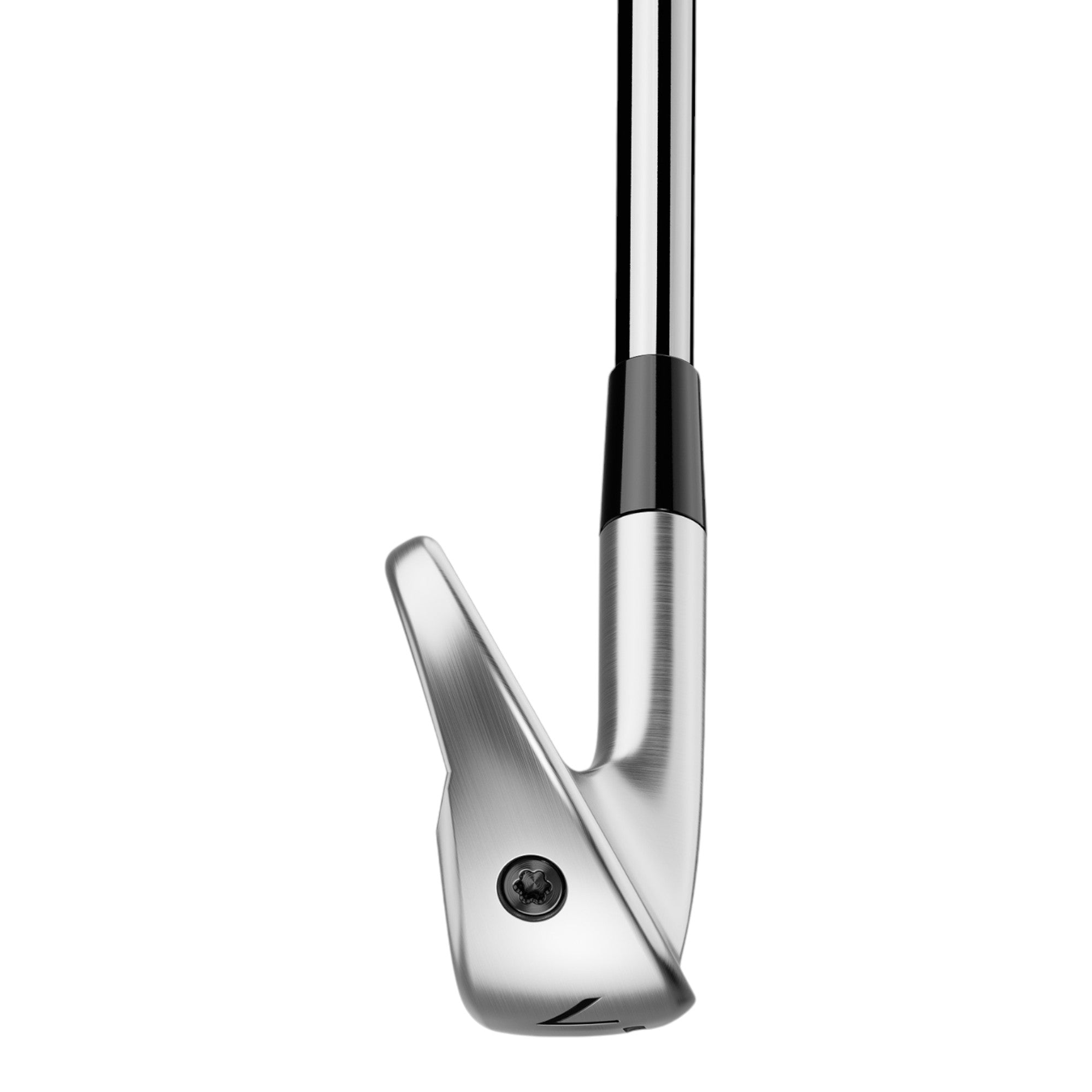 TaylorMade P790 Golf Irons | Steel